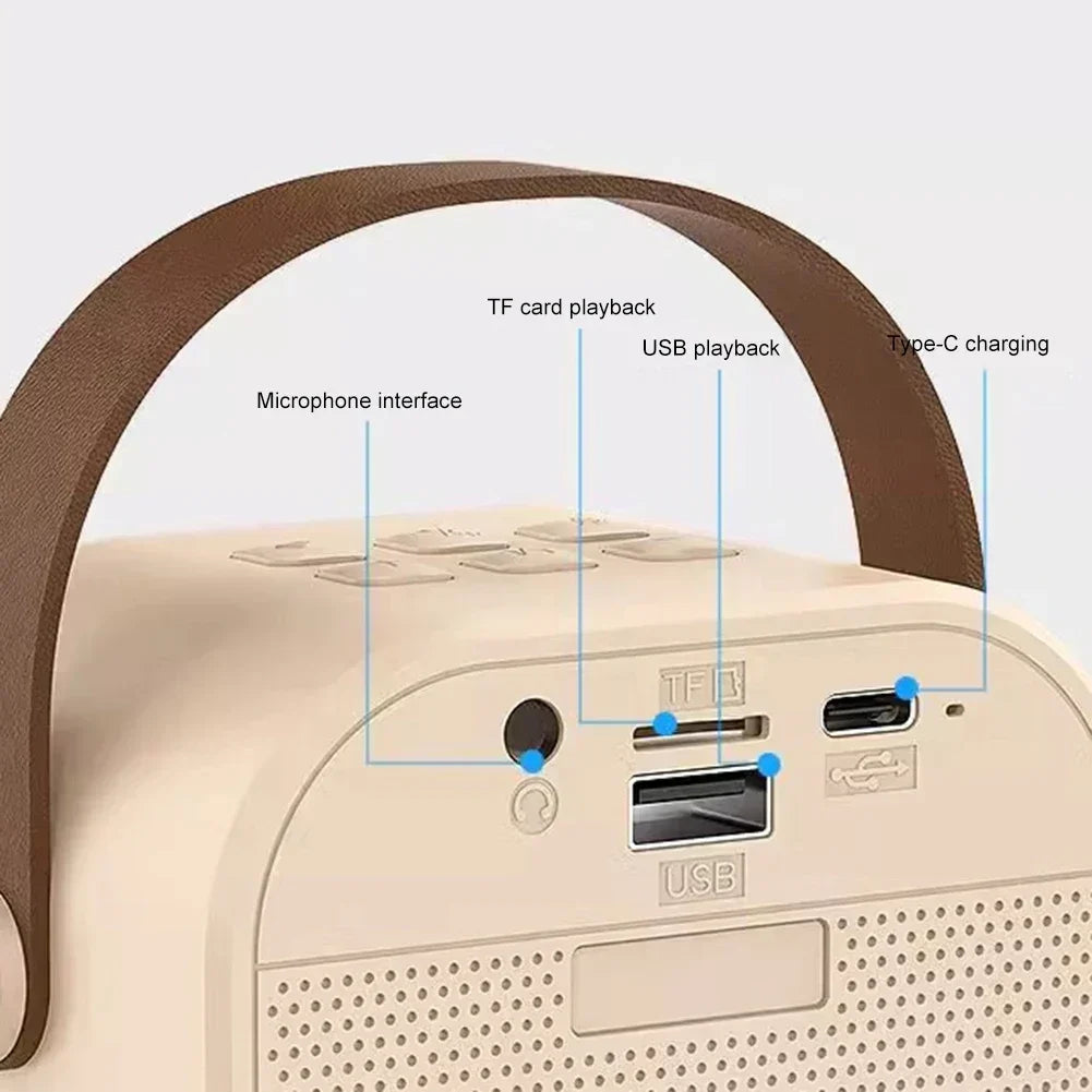 Karaoke Speaker with 2 Wireless Mic - Loud Sound