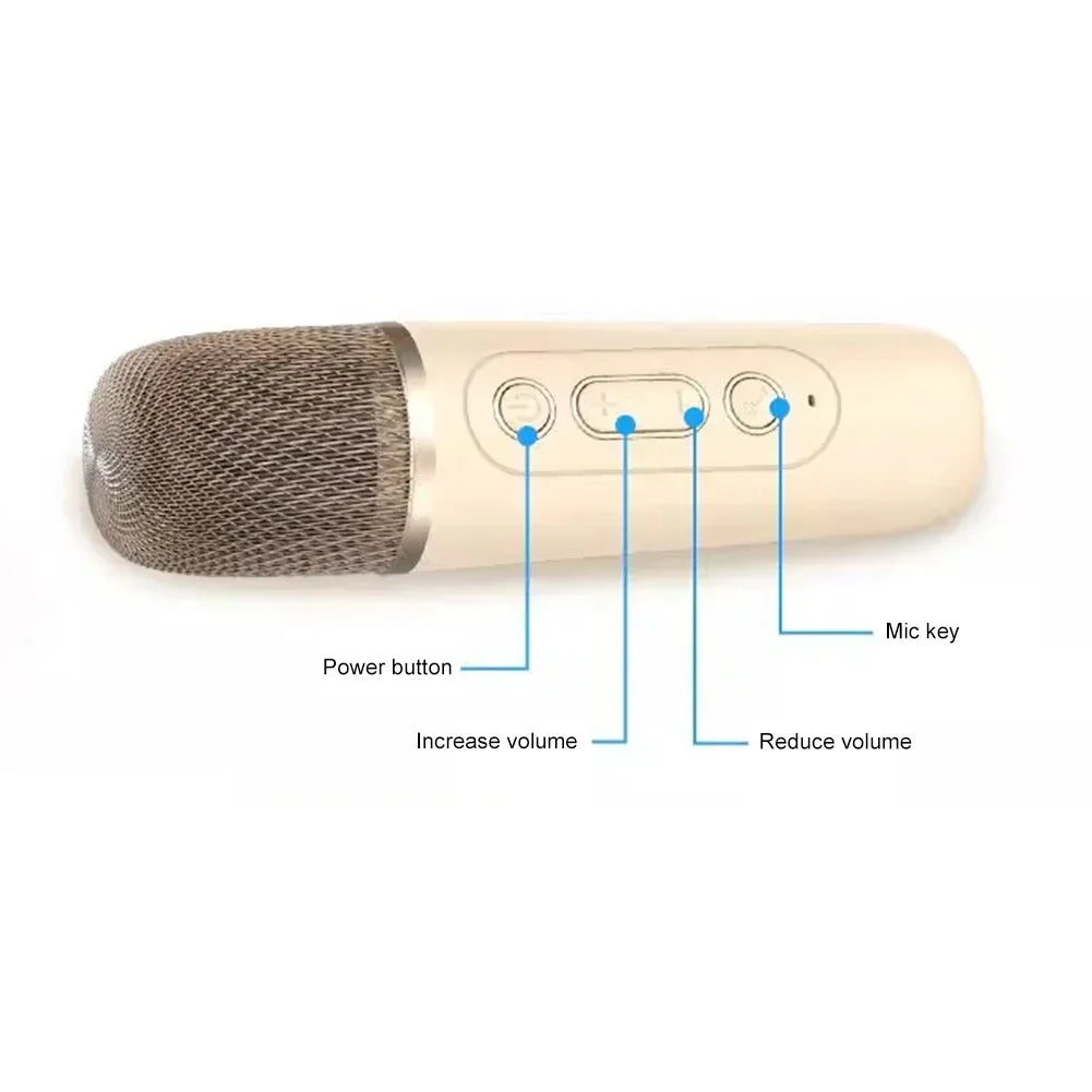 Karaoke Speaker with 2 Wireless Mic - Loud Sound
